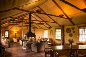 Tailor made safari holidays