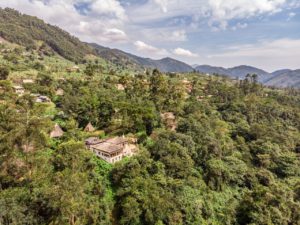 Bwindi Lodge Uganda