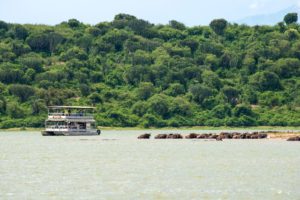 Boat safari in Queen Elizabeth Park, Uganda