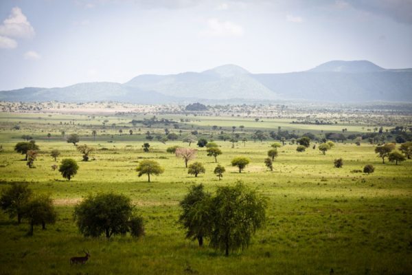 Apoka Safari Lodge