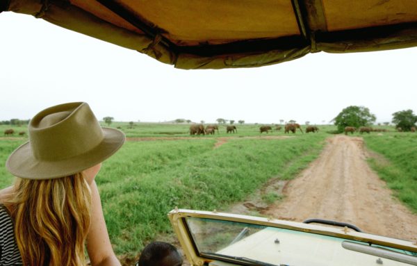 Apoka Safari Lodge