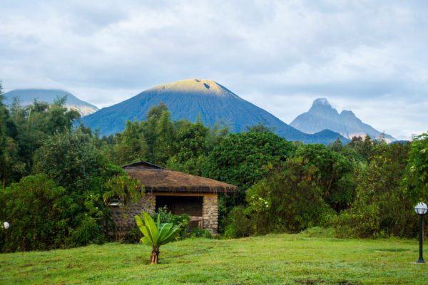 Mountain Gorilla View Lodge