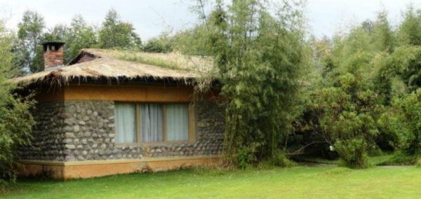 mOUNTAIN GORILLA VIEW LODGE, RWANDA