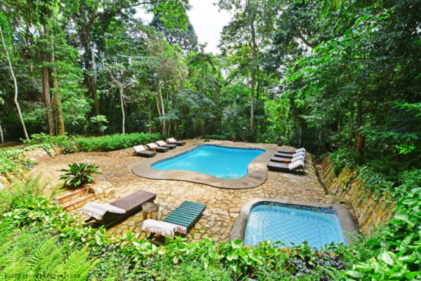 The Rainforest Lodge, Mabira Forest, Jinja