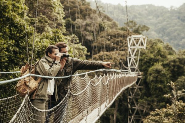 Nyungwe Canopy Walk