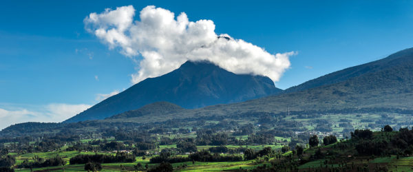 Gorilla's Nest Lodge