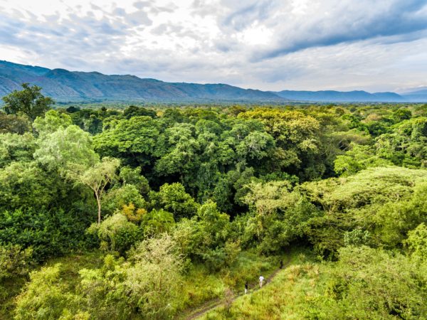 Semliki Safari Lodge